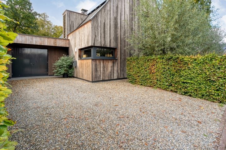 Photo 8 of Trechterbeker 29