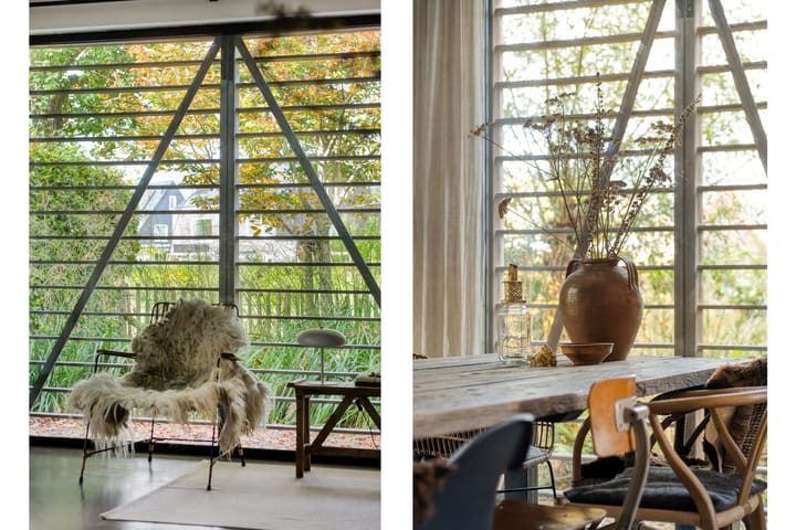 Photo 20 of Trechterbeker 29