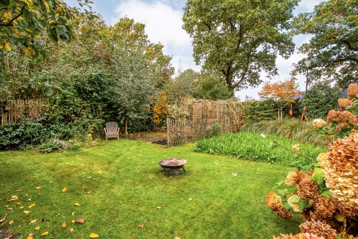 Photo 54 of Trechterbeker 29