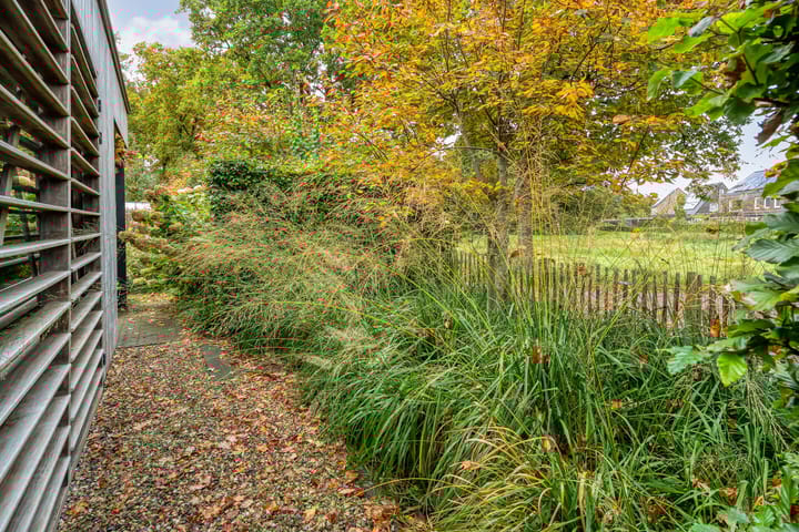 Photo 59 of Trechterbeker 29