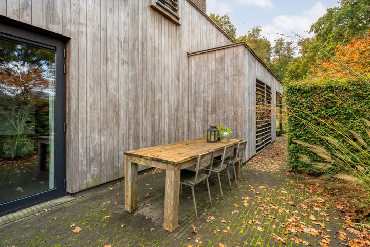 Photo 60 of Trechterbeker 29