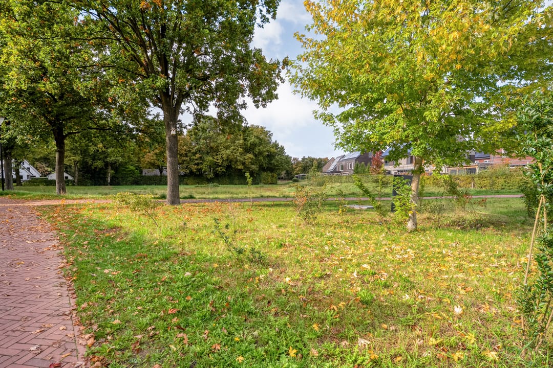 Photo 61 of Trechterbeker 29