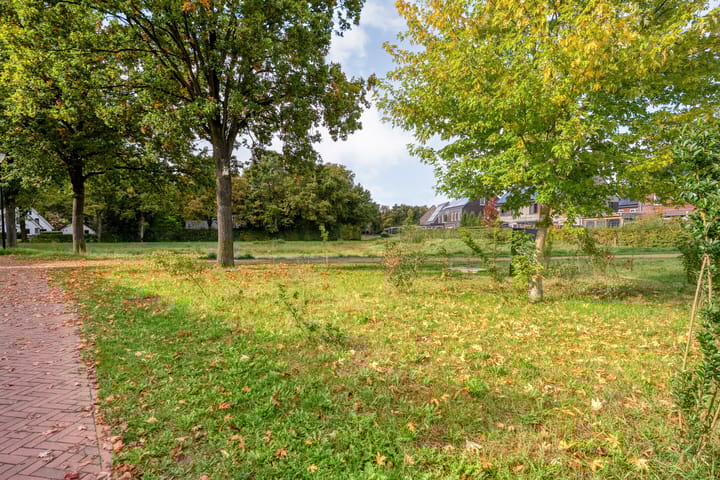 Photo 61 of Trechterbeker 29