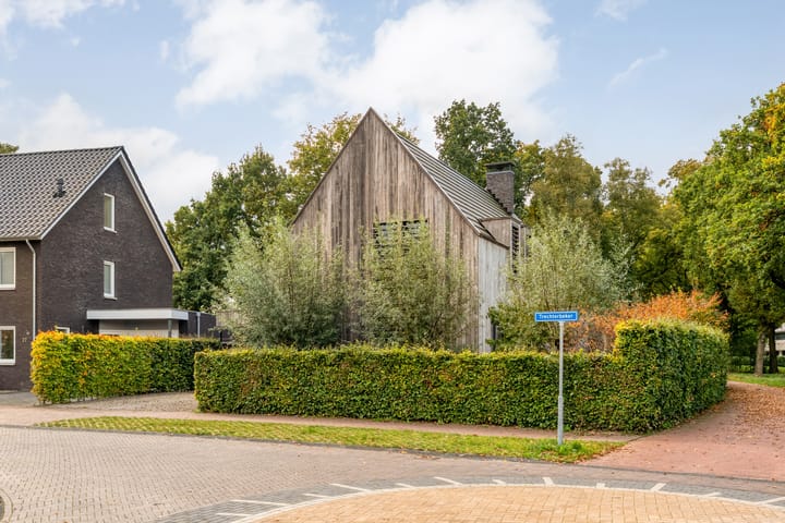 Photo 64 of Trechterbeker 29