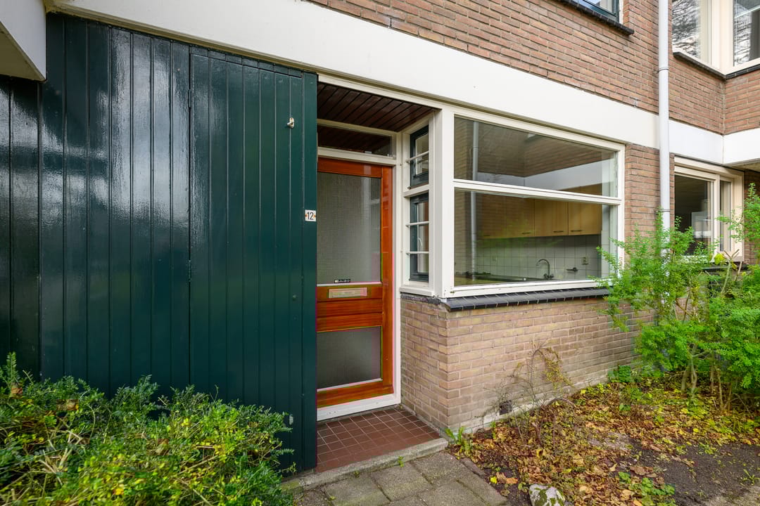 Photo 2 of Ligusterbes 12