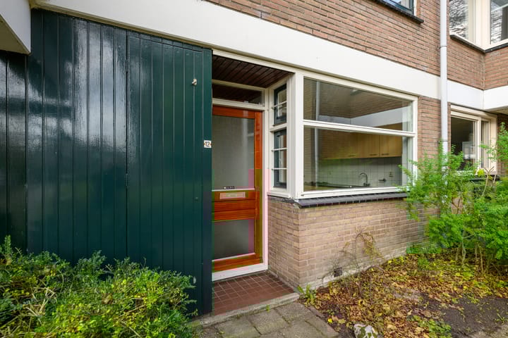 Foto 2 van Ligusterbes 12