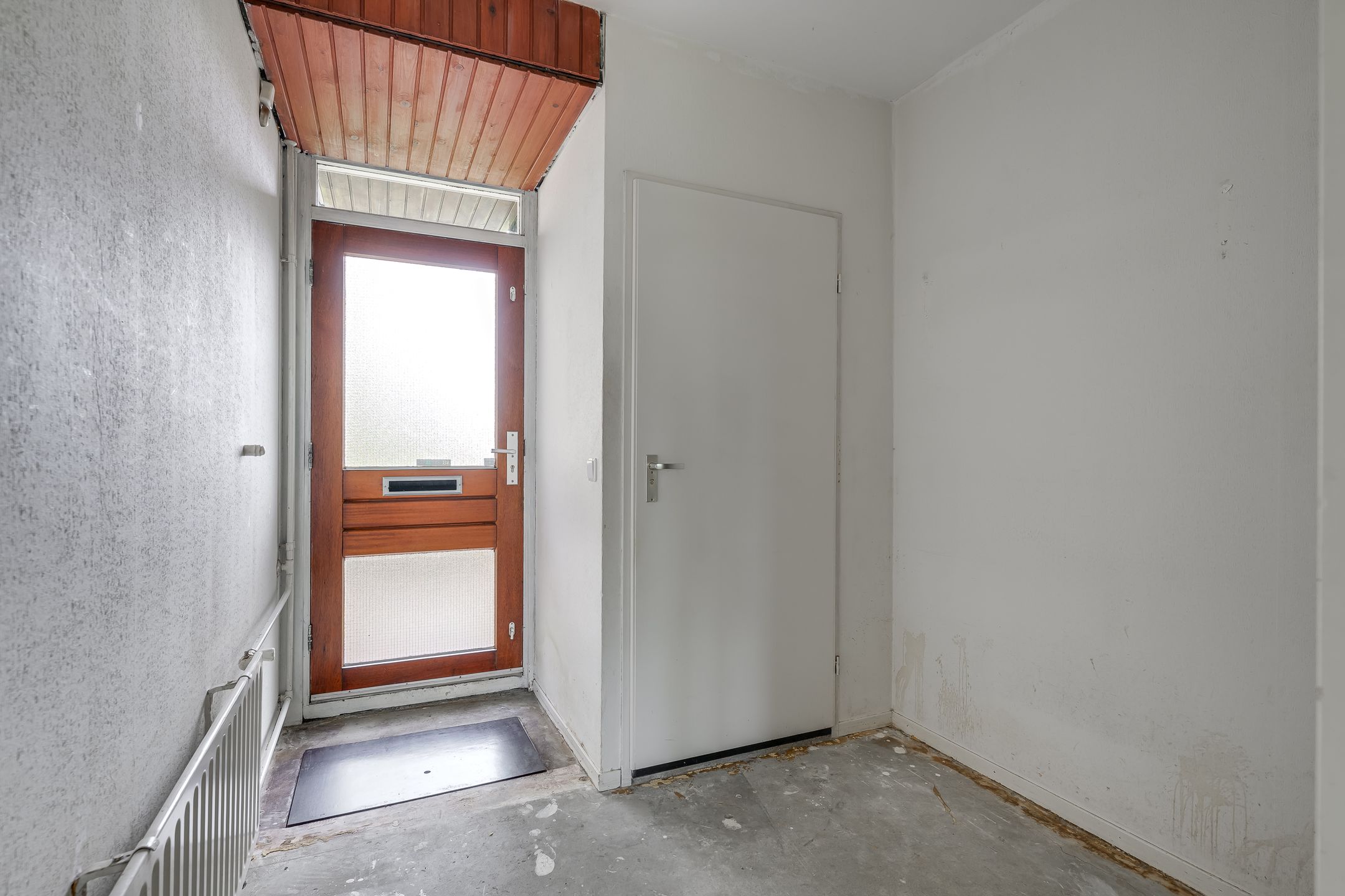 Photo 3 of Ligusterbes 12