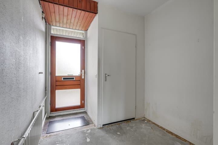 Foto 3 van Ligusterbes 12