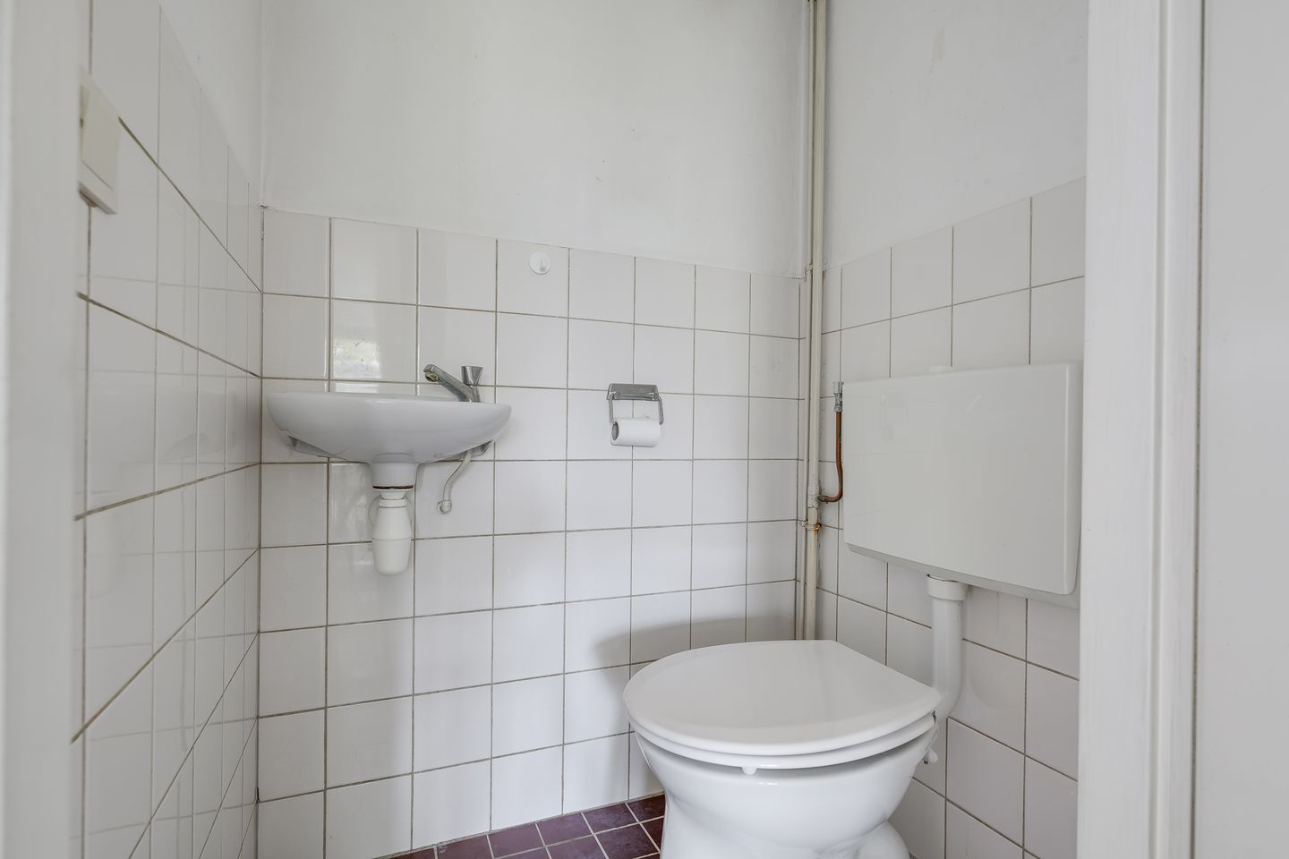 Photo 4 of Ligusterbes 12