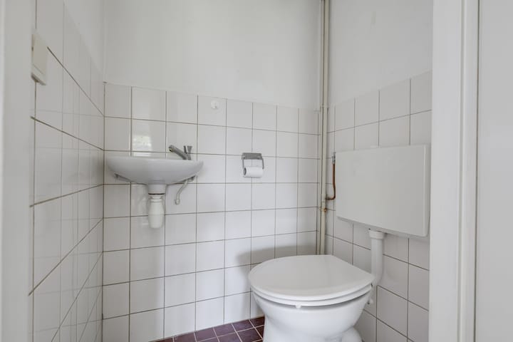 Foto 4 van Ligusterbes 12