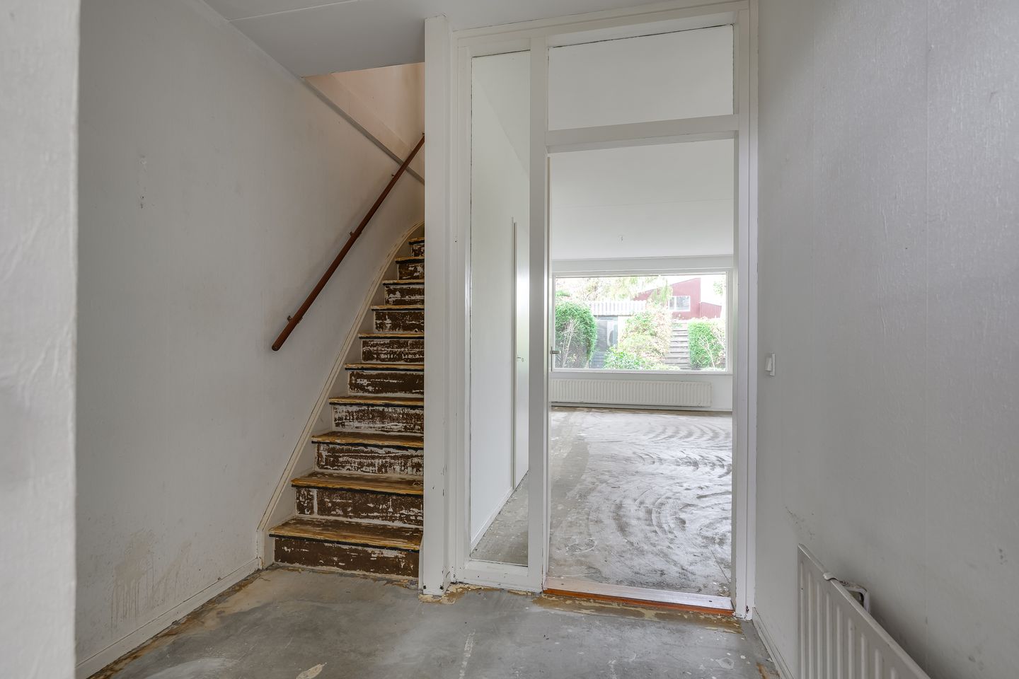 Photo 5 of Ligusterbes 12