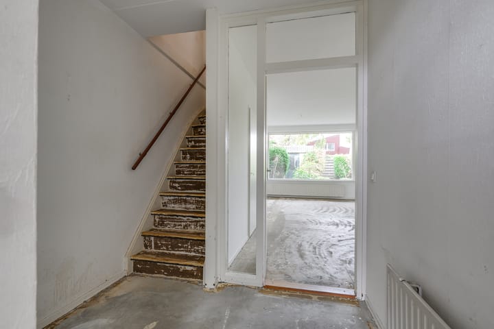 Foto 5 van Ligusterbes 12