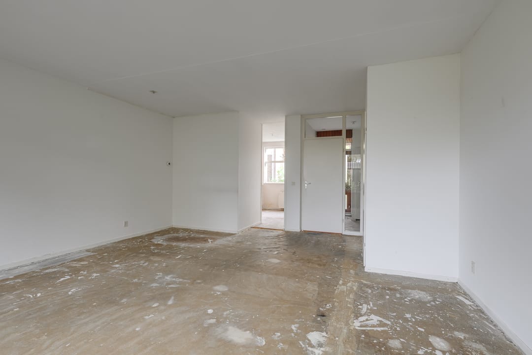 Photo 7 of Ligusterbes 12