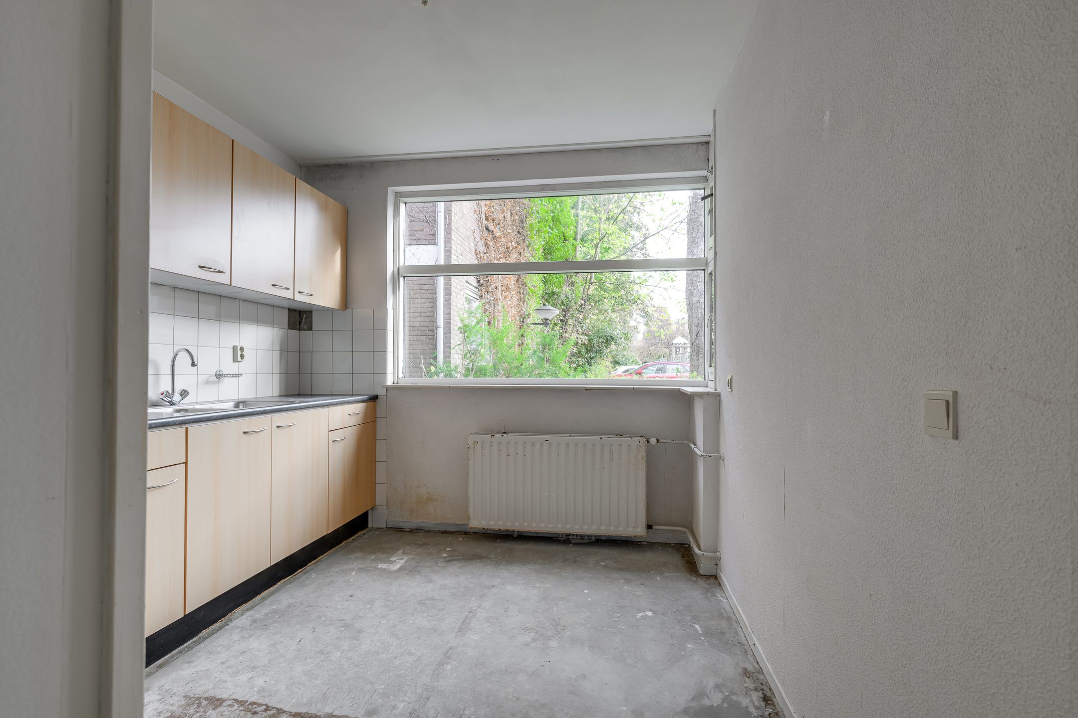 Photo 9 of Ligusterbes 12