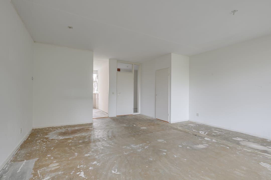 Photo 8 of Ligusterbes 12