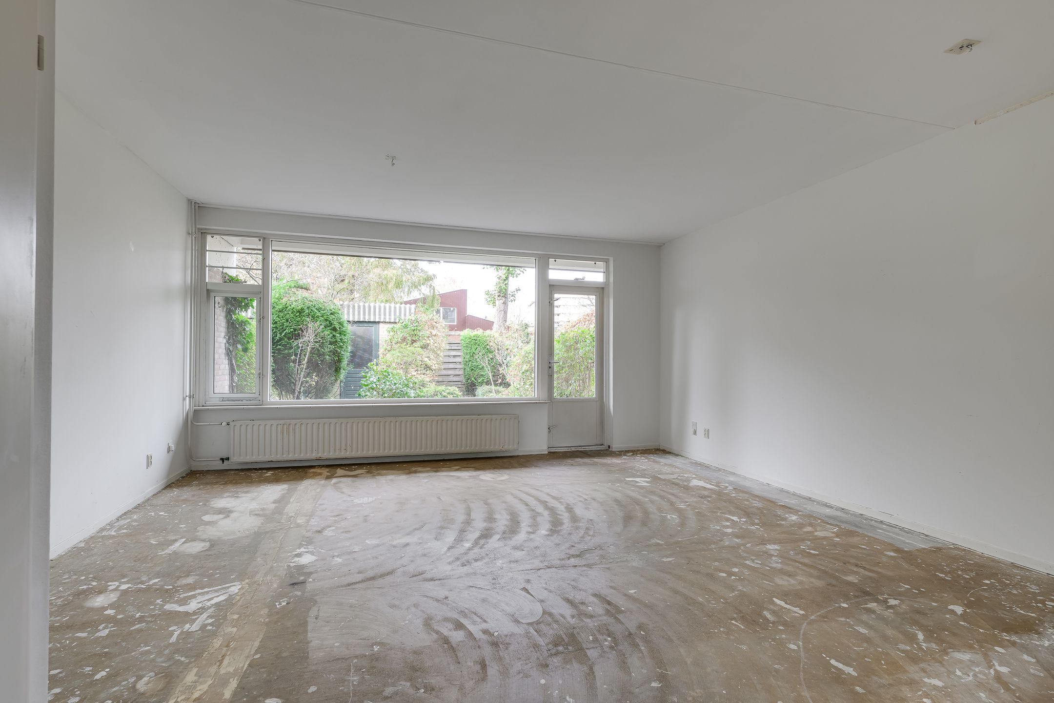 Photo 6 of Ligusterbes 12