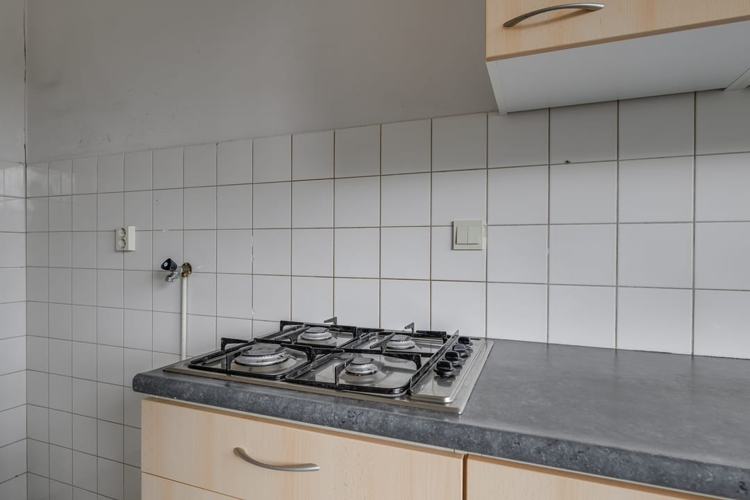 Photo 11 of Ligusterbes 12