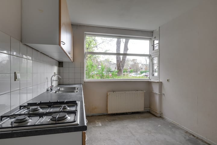 Foto 13 van Ligusterbes 12