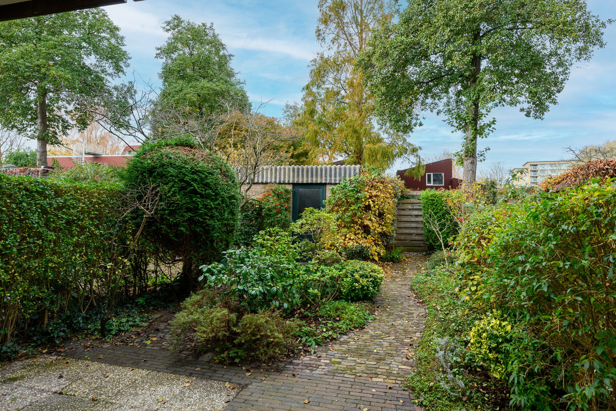 Photo 15 of Ligusterbes 12