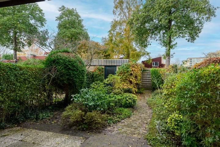 Foto 15 van Ligusterbes 12