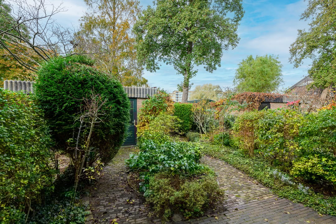 Photo 16 of Ligusterbes 12