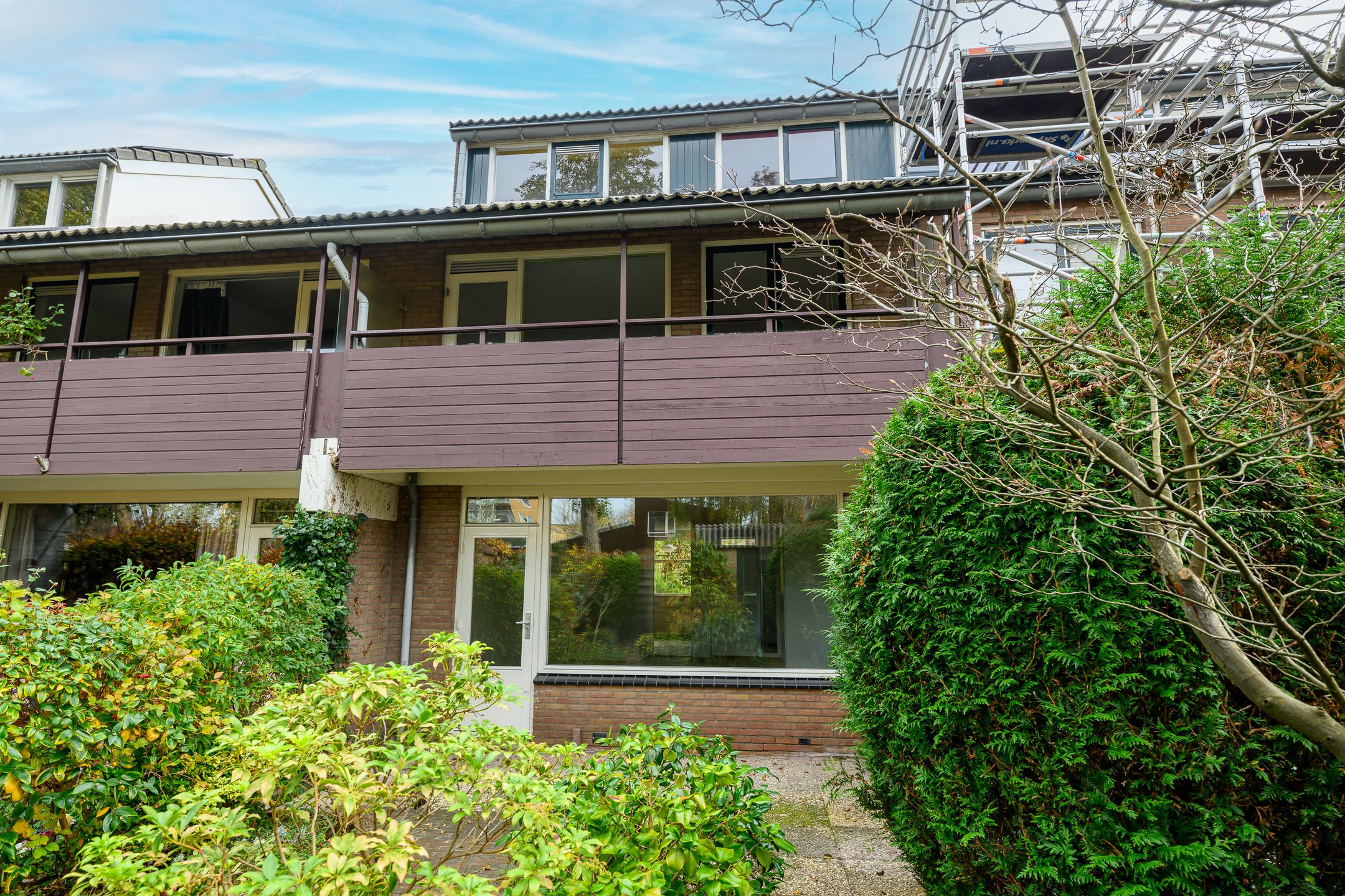 Photo 18 of Ligusterbes 12