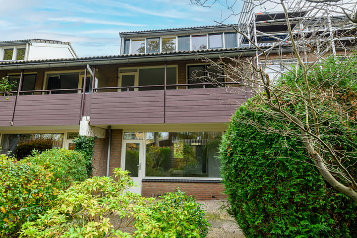 Foto 18 van Ligusterbes 12