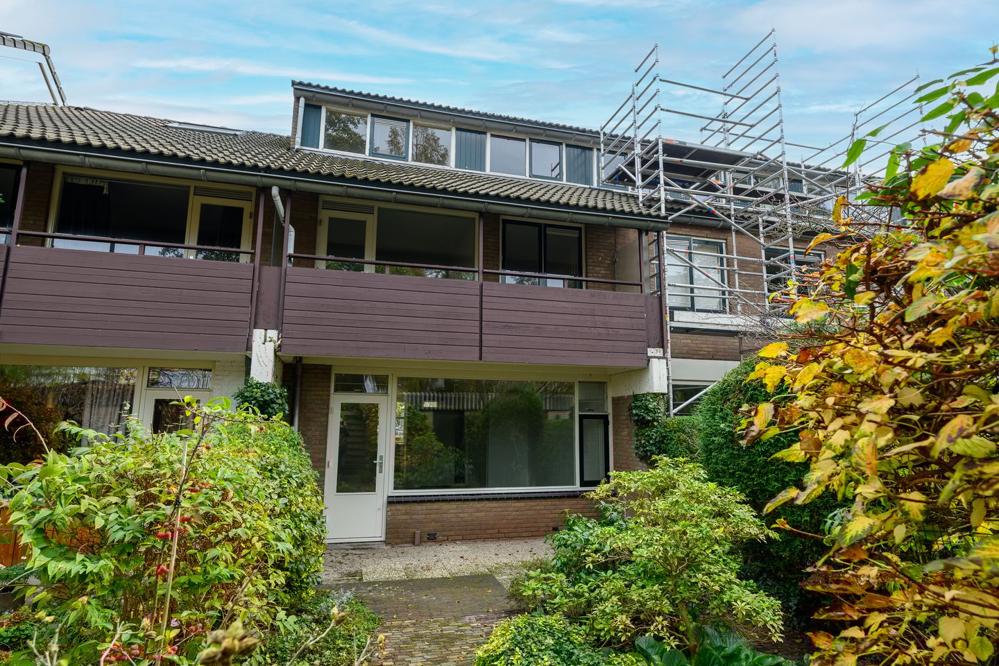 Photo 19 of Ligusterbes 12