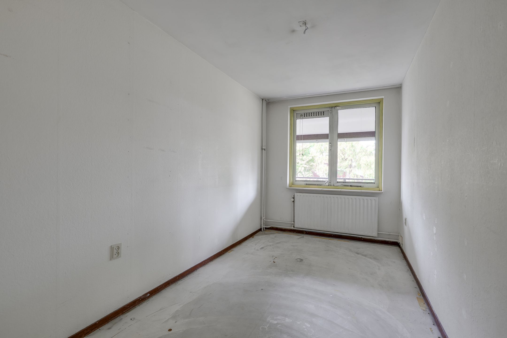 Photo 21 of Ligusterbes 12