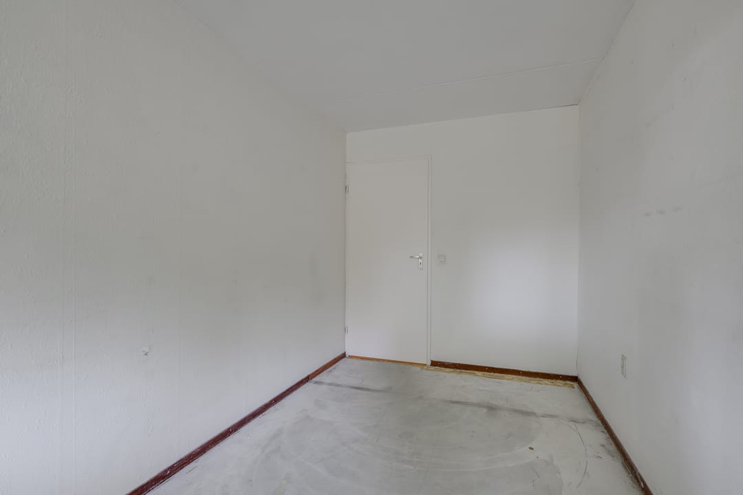 Photo 22 of Ligusterbes 12