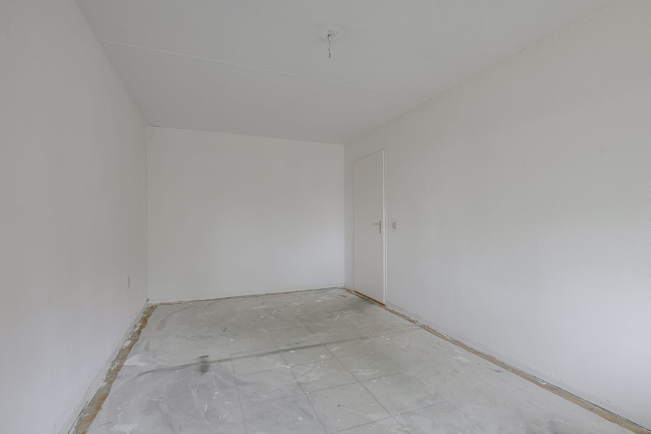 Photo 24 of Ligusterbes 12