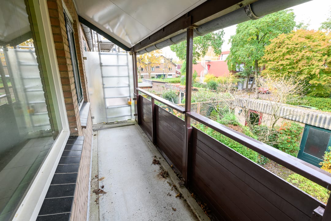 Photo 26 of Ligusterbes 12