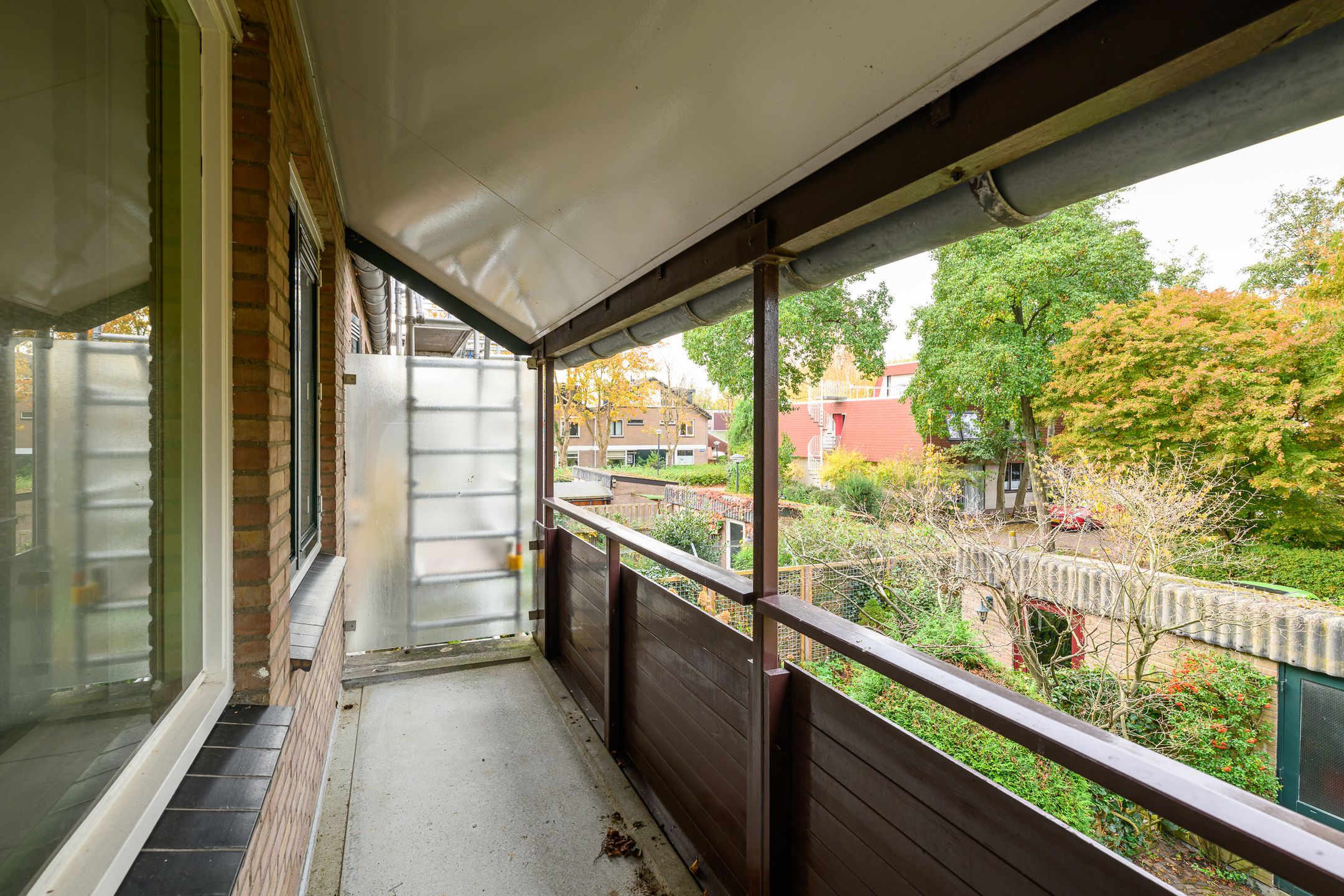 Photo 27 of Ligusterbes 12