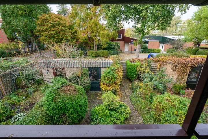 Foto 28 van Ligusterbes 12