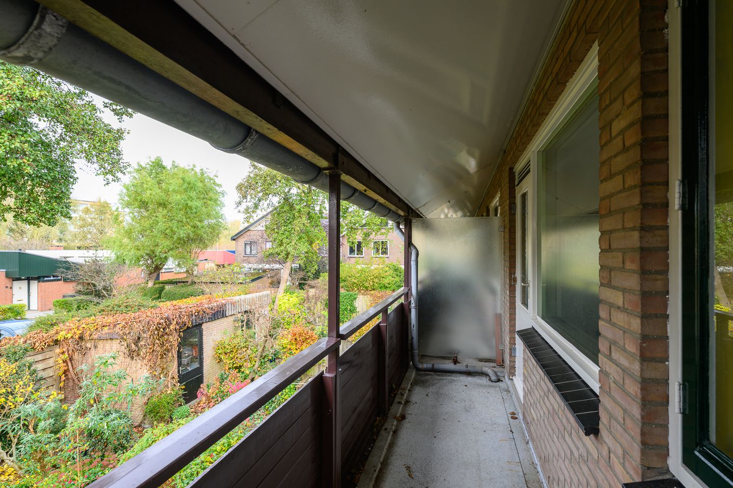 Photo 29 of Ligusterbes 12