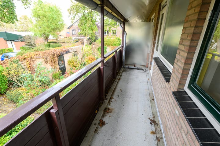 Foto 30 van Ligusterbes 12