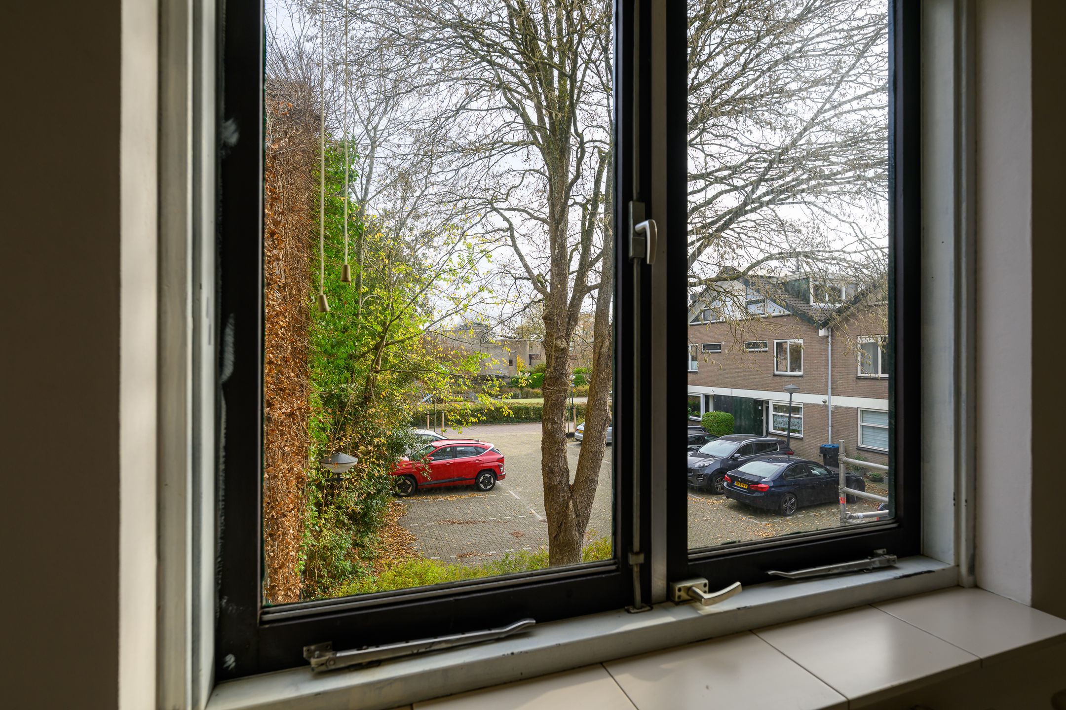 Photo 33 of Ligusterbes 12