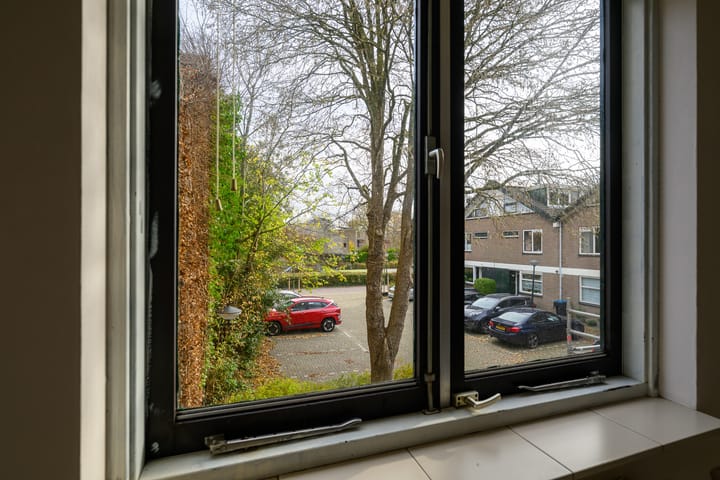 Foto 33 van Ligusterbes 12