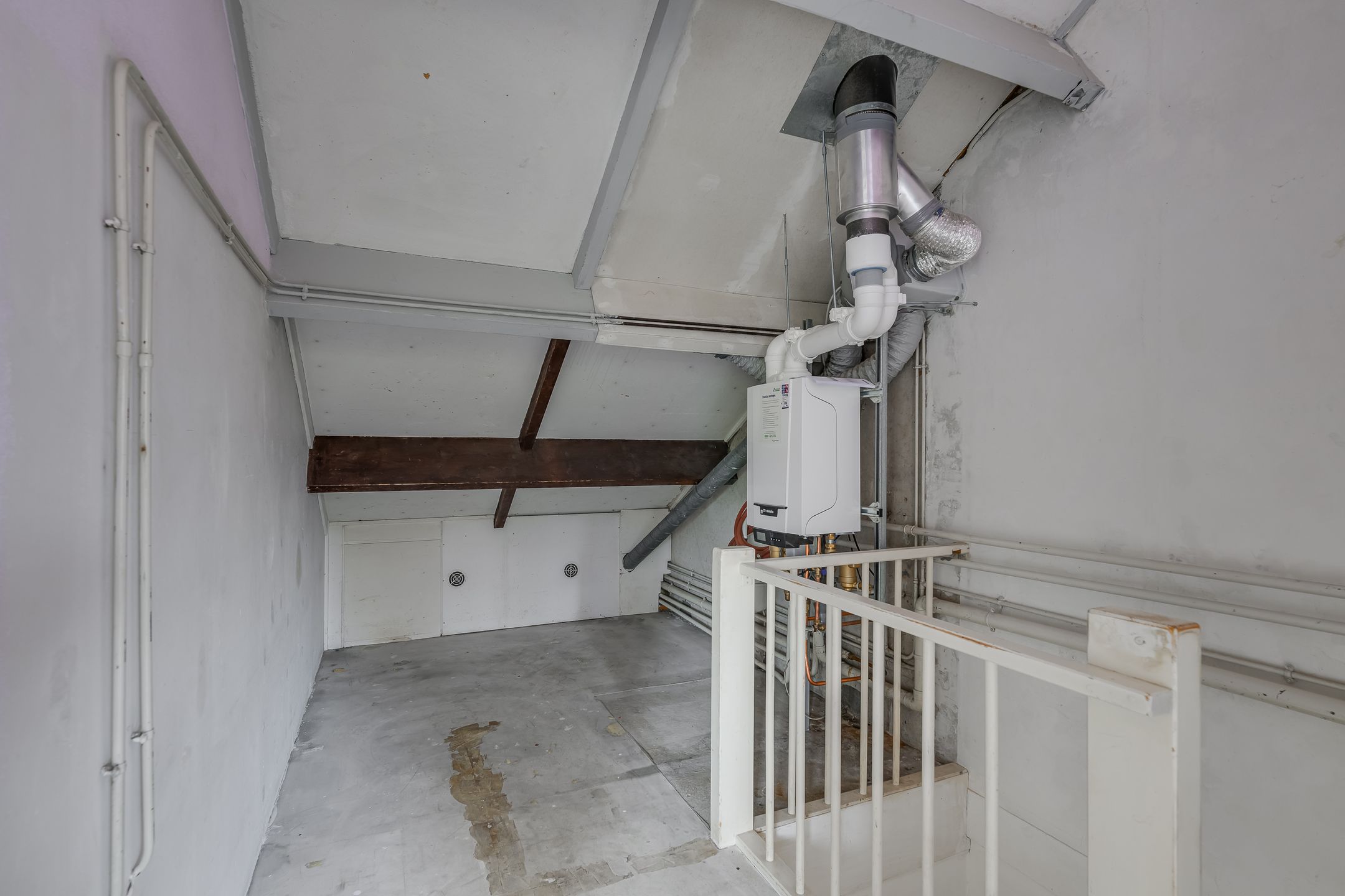 Photo 39 of Ligusterbes 12