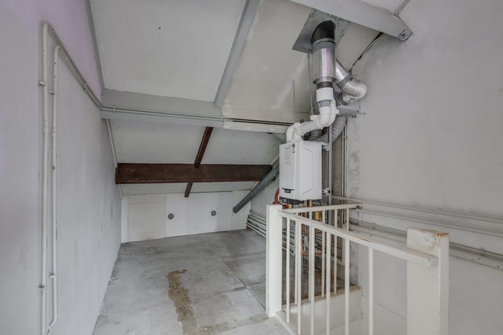 Foto 39 van Ligusterbes 12