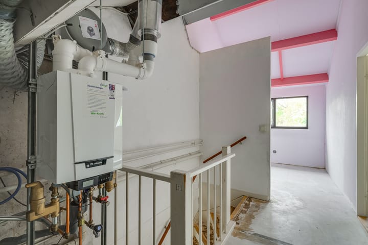 Foto 40 van Ligusterbes 12