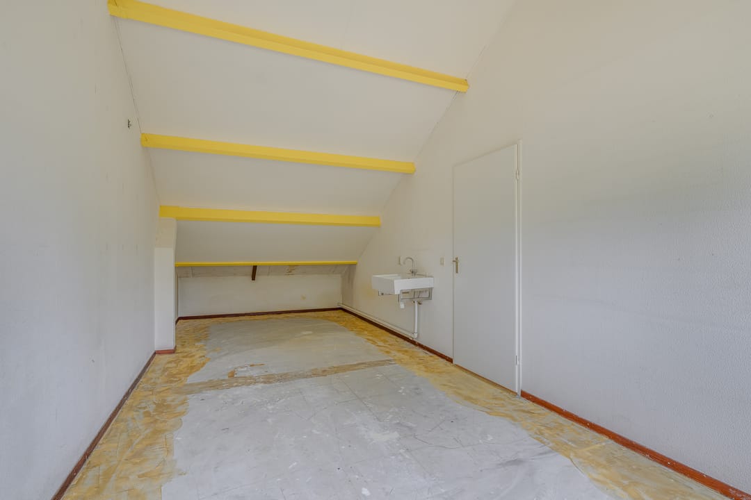 Photo 41 of Ligusterbes 12