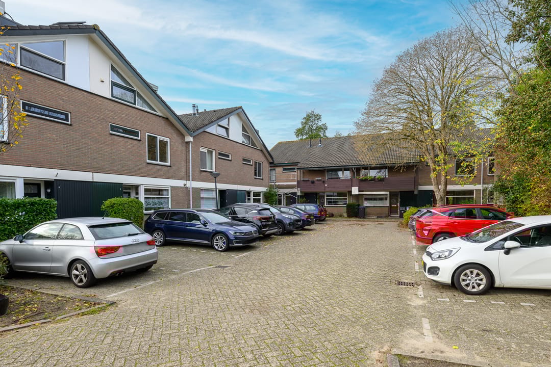 Photo 43 of Ligusterbes 12