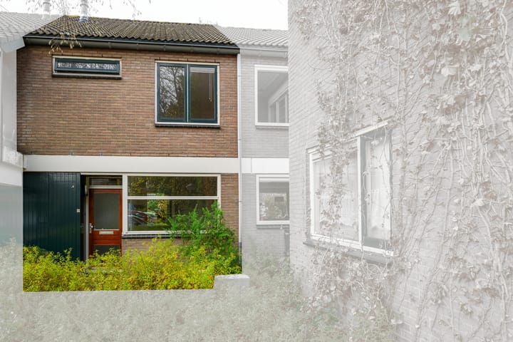 Foto 46 van Ligusterbes 12