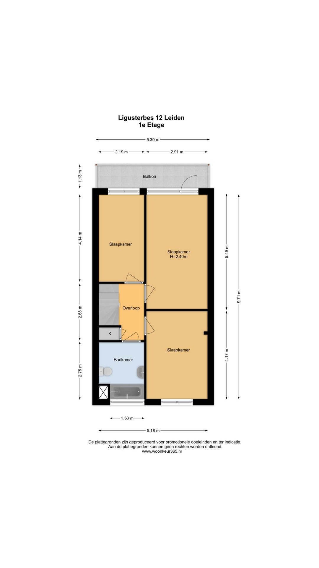 Photo 48 of Ligusterbes 12