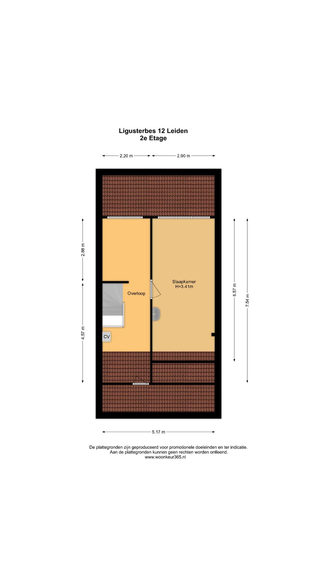 Photo 50 of Ligusterbes 12