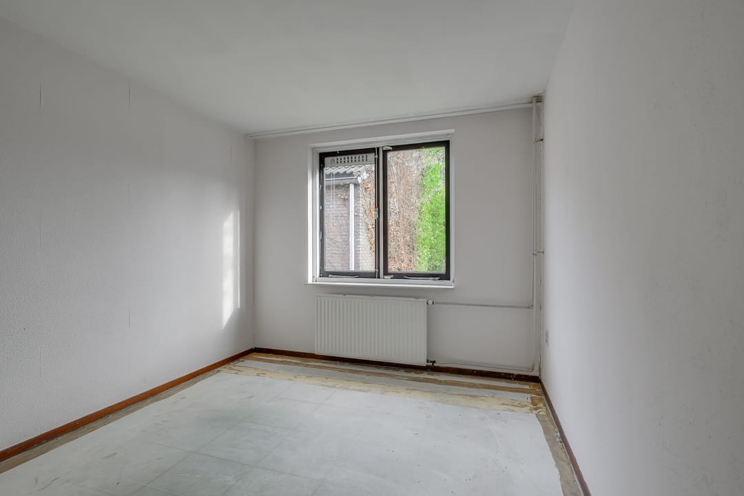 Photo 31 of Ligusterbes 12