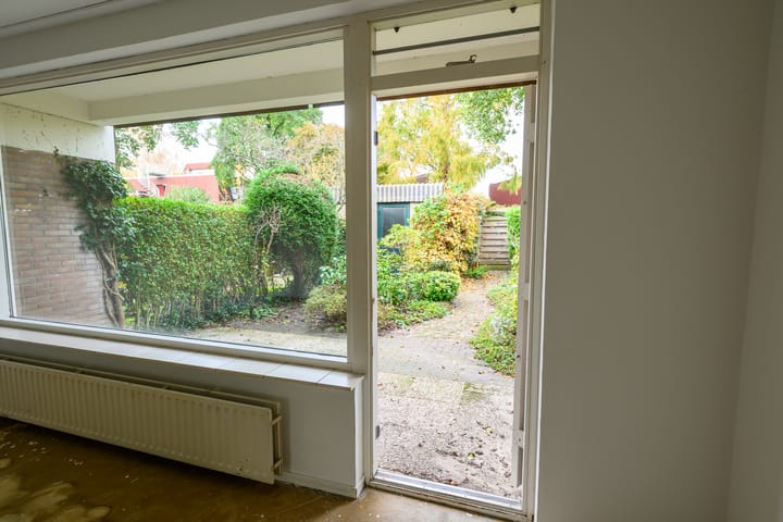 Foto 14 van Ligusterbes 12