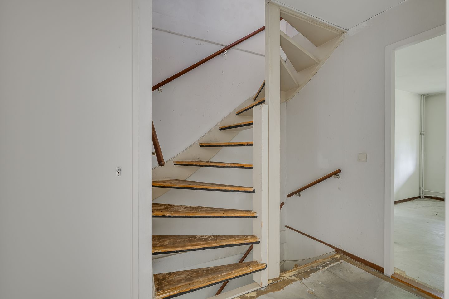 Photo 20 of Ligusterbes 12