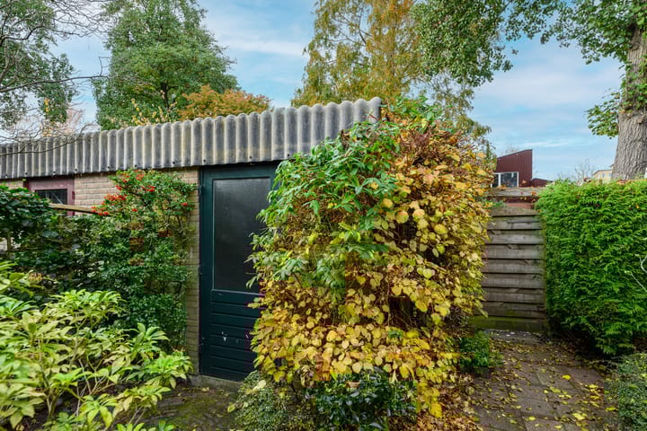 Foto 17 van Ligusterbes 12